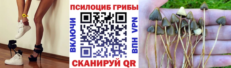 Псилоцибиновые грибы ЛСД  закладка  Лысково 